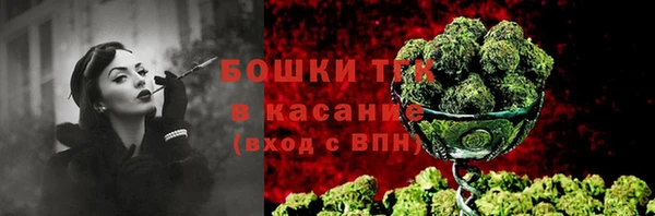 хмурый Козловка