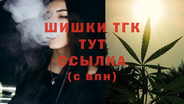 хмурый Козловка
