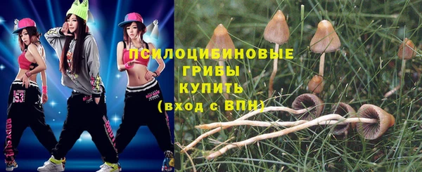 хмурый Козловка