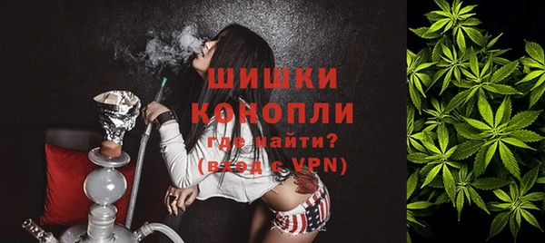 хмурый Козловка