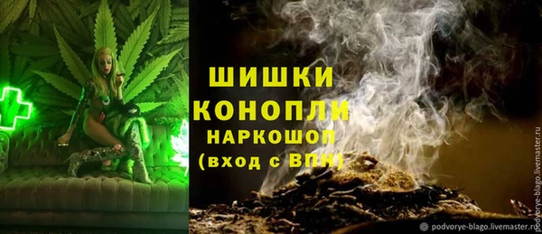 хмурый Козловка