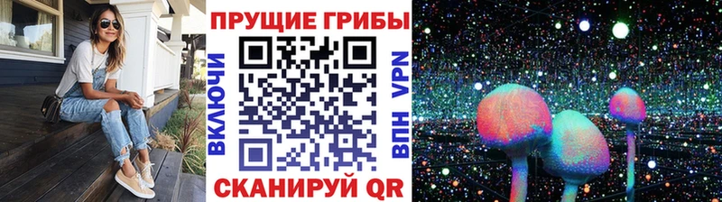 Купить закладки  Высоковск  Галлюциногенные грибы Cubensis 